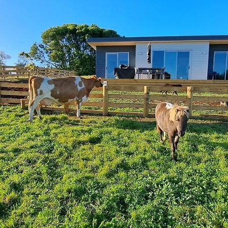 Country Comfort - Only 10 Minutes From Hamilton Cbd Exteriér fotografie