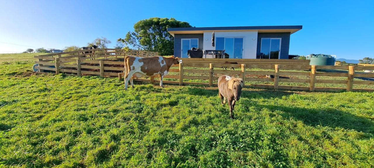 Country Comfort - Only 10 Minutes From Hamilton Cbd Exteriér fotografie