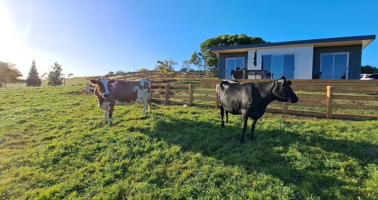 Country Comfort - Only 10 Minutes From Hamilton Cbd Exteriér fotografie