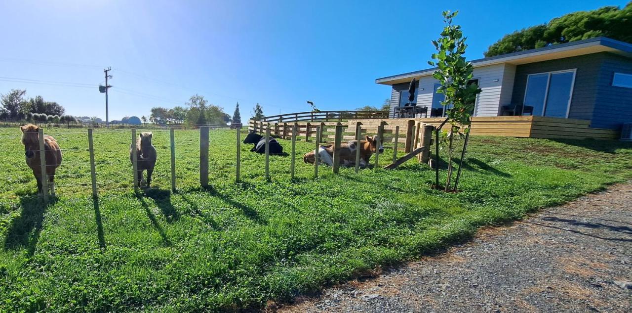 Country Comfort - Only 10 Minutes From Hamilton Cbd Exteriér fotografie