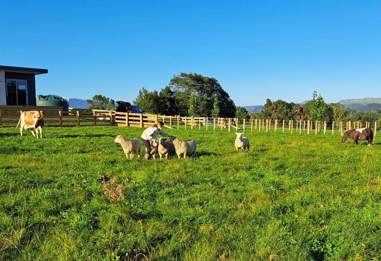 Country Comfort - Only 10 Minutes From Hamilton Cbd Exteriér fotografie