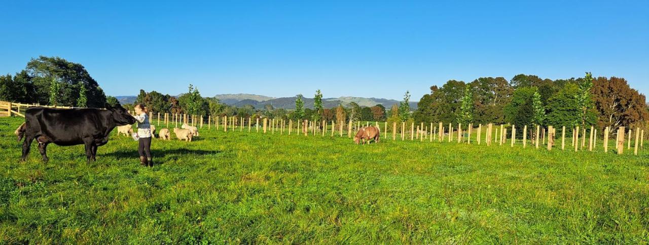 Country Comfort - Only 10 Minutes From Hamilton Cbd Exteriér fotografie