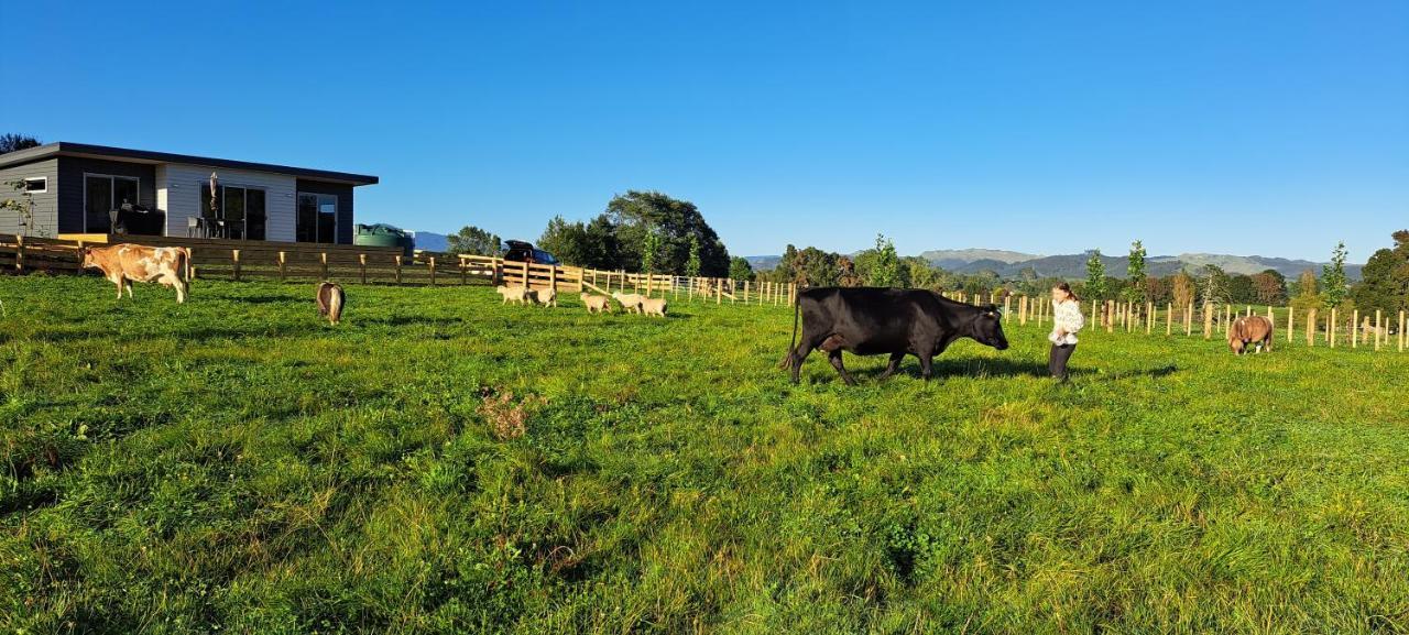 Country Comfort - Only 10 Minutes From Hamilton Cbd Exteriér fotografie